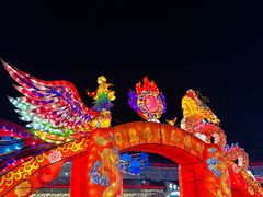 -大连老虎滩海洋公园