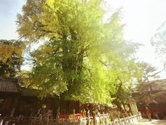 -潭柘寺景区