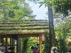 -青城甲(青城山店)