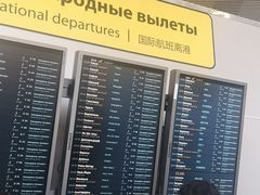 -谢列梅捷沃国际机场