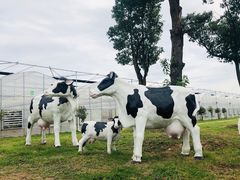 -上膳源有机农场