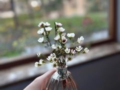 -夏朵花园(复兴西路店)