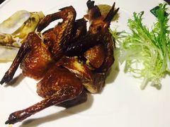 -青叶202都市餐厅(迪诺水镇店)