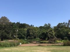 -墨尔本皇家植物园