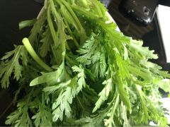 iphone_upload_pic-四川简阳羊肉汤火锅(望花路西里店)