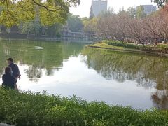 -晓港公园
