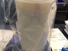 -TD66高山铁皮石斛养生茶饮