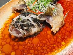 -曼格纳·曼芯馆(杨浦店)