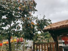-泽雅景区