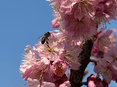 -玄武湖景区-情侣园游乐场