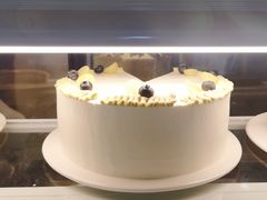 -猫里有甜