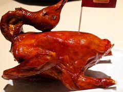 非遗红烧乳鸽-侨美食家·粤菜(体育西路店)