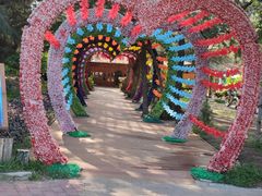 -北海金海湾红树林生态旅游区