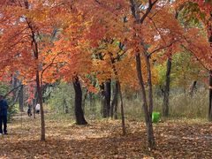 -长春市南湖公园