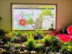-杭州植物园