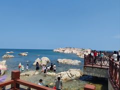 -养马岛旅游度假区