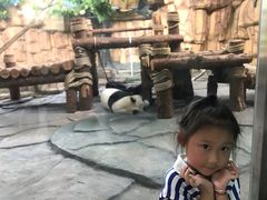 -泉州海丝野生动物世界