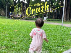 -晓港公园
