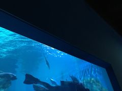 -常州海昌海洋探索馆