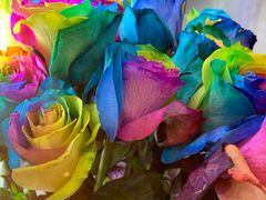 -ROSEONLY诺誓(国际广场购物中心店)