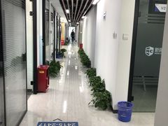 -新航道雅思托福·留学·考研培训(人民广场校区)