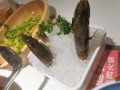 -左庭右院鲜牛肉火锅(新梅广场店)