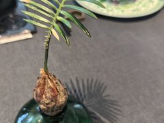 -南里山房(虹桥天地店)