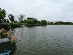 -上海长兴岛郊野公园