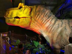 -恐龙探索乐园(磁器口店)