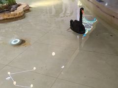 -首创奥特莱斯(北京店)