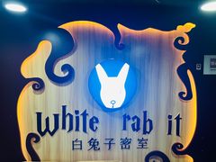 -白兔子密室(长寿路店)