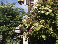 iphone_upload_pic-铁路文化公园