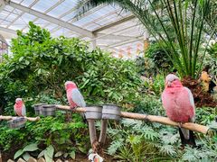 -南宫五洲植物乐园