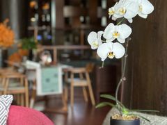 -时光吧·大堂吧·丽江和府洲际度假酒店