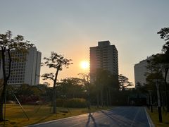 -文华公园(禅城区)