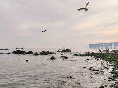 -银沙滩浴场