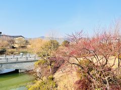 -雅达·阳羡溪山小镇中心