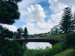 -迪茵湖田家舍生态农场
