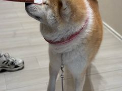 -YCHL Studios健身工作室(市二宫店)