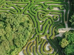 -大屏嶂森林公园