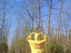 -合肥滨湖国家森林公园