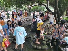 -成都市活水公园