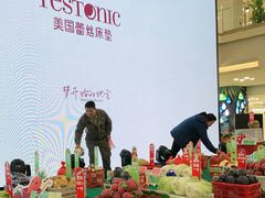 -红星美凯龙北京至尊MALL(东四环中路店)