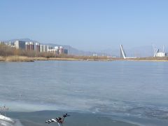 -永定河休闲森林公园