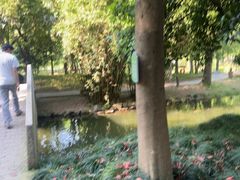 -鲁镇