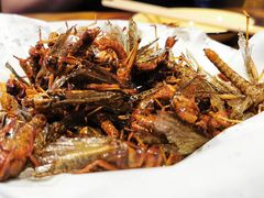 -马路牙子地桌烤肉(工体店)