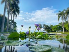 -三亚海棠湾万丽度假酒店
