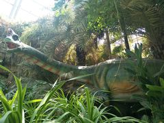 -亿利库布其七星湖沙漠生态旅游区