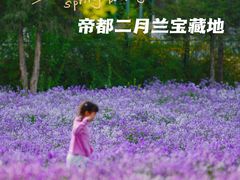 -中粮·祥云小镇