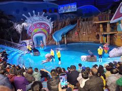 -烟台海昌鲸鲨海洋公园